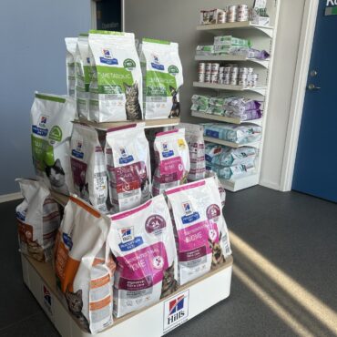 petshop 3