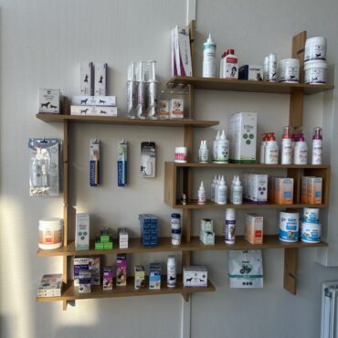 webshop
